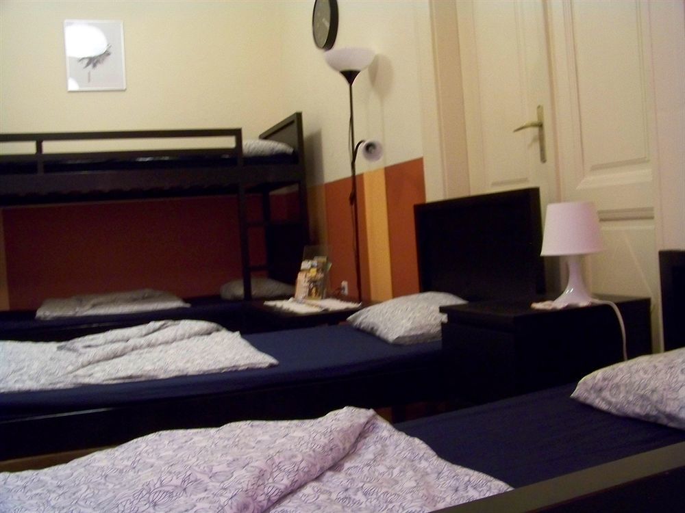 Auberge de jeunesse Animation *